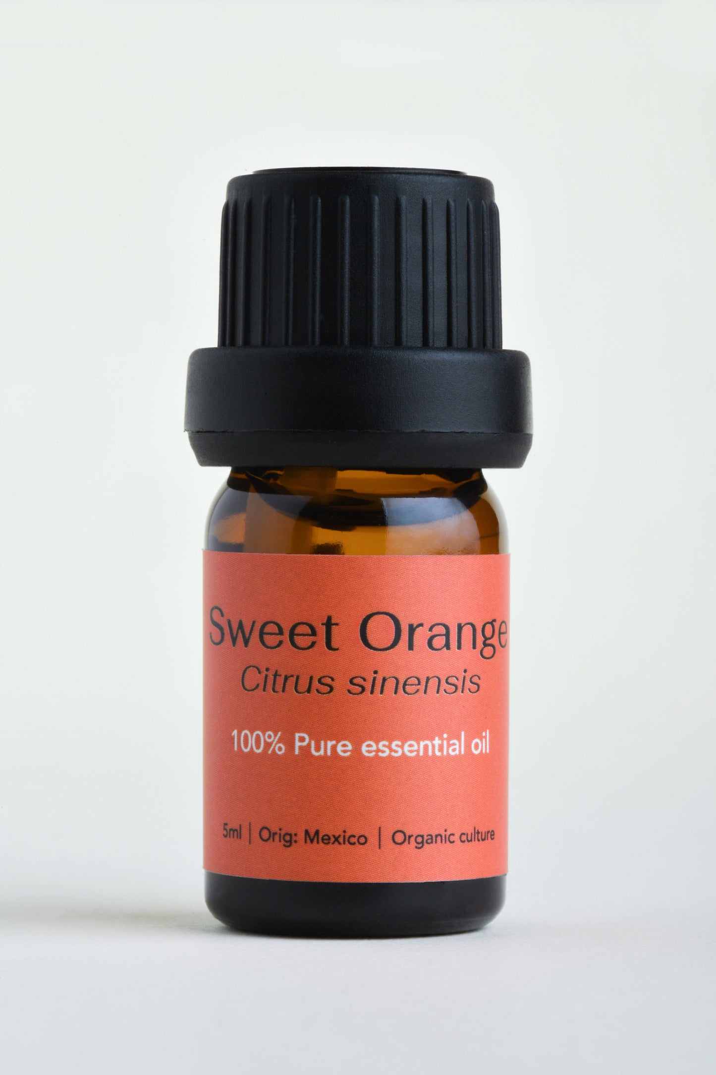 Sweet orange (Citrus sinensis)