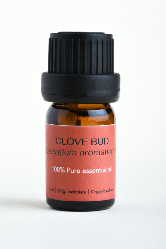 Clove (Syzygium aromaticum)