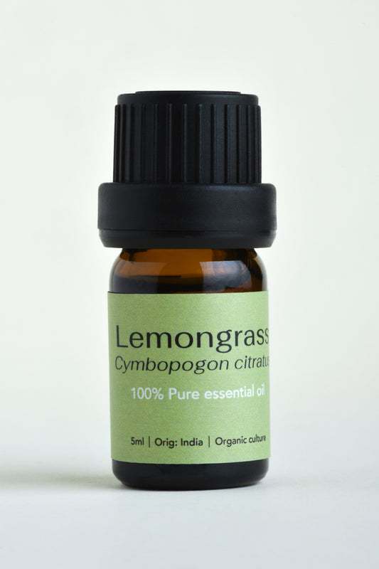Lemongrass (Cymbopogon citratus)