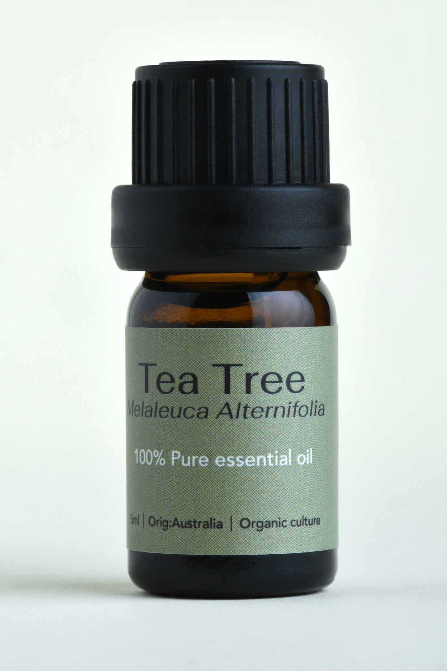 Tea Tree (Melaleuca alternifolia)