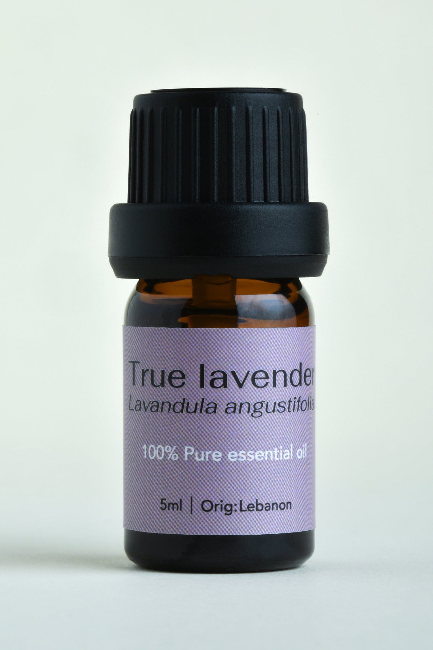 True lavender (Lavandula angustifolia)