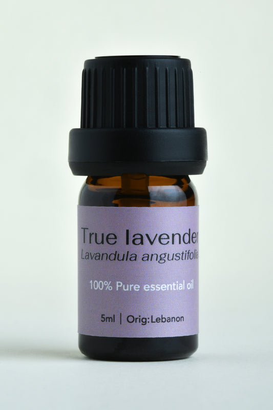 True lavender (Lavandula angustifolia)